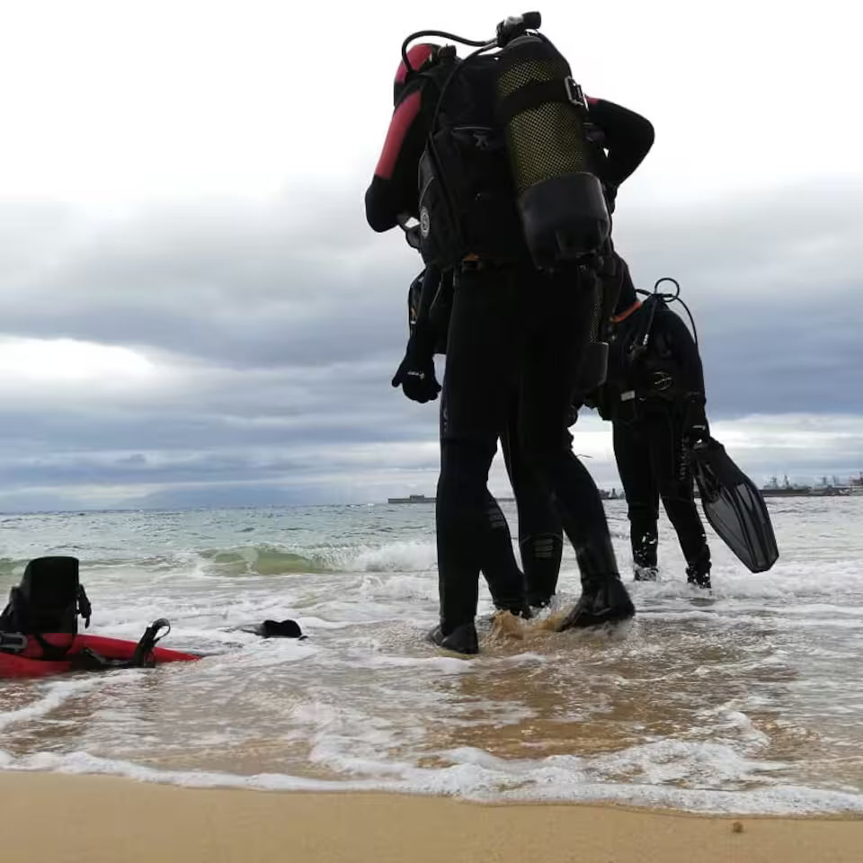 Scuba Diving in Simon’s Town-No Experience Needed