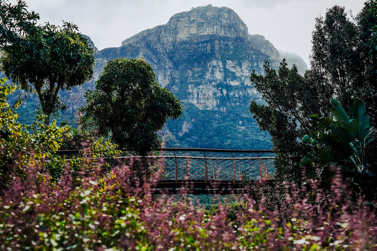 Friend Therapy: The Winter Reset | Simon's Town