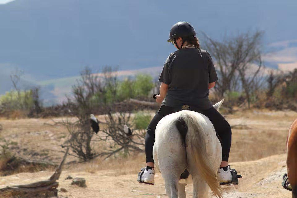 Explore a wildlife reserve on horseback - 2 hours