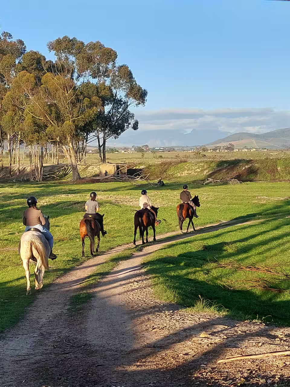 Explore a wildlife reserve on horseback - 2 hours