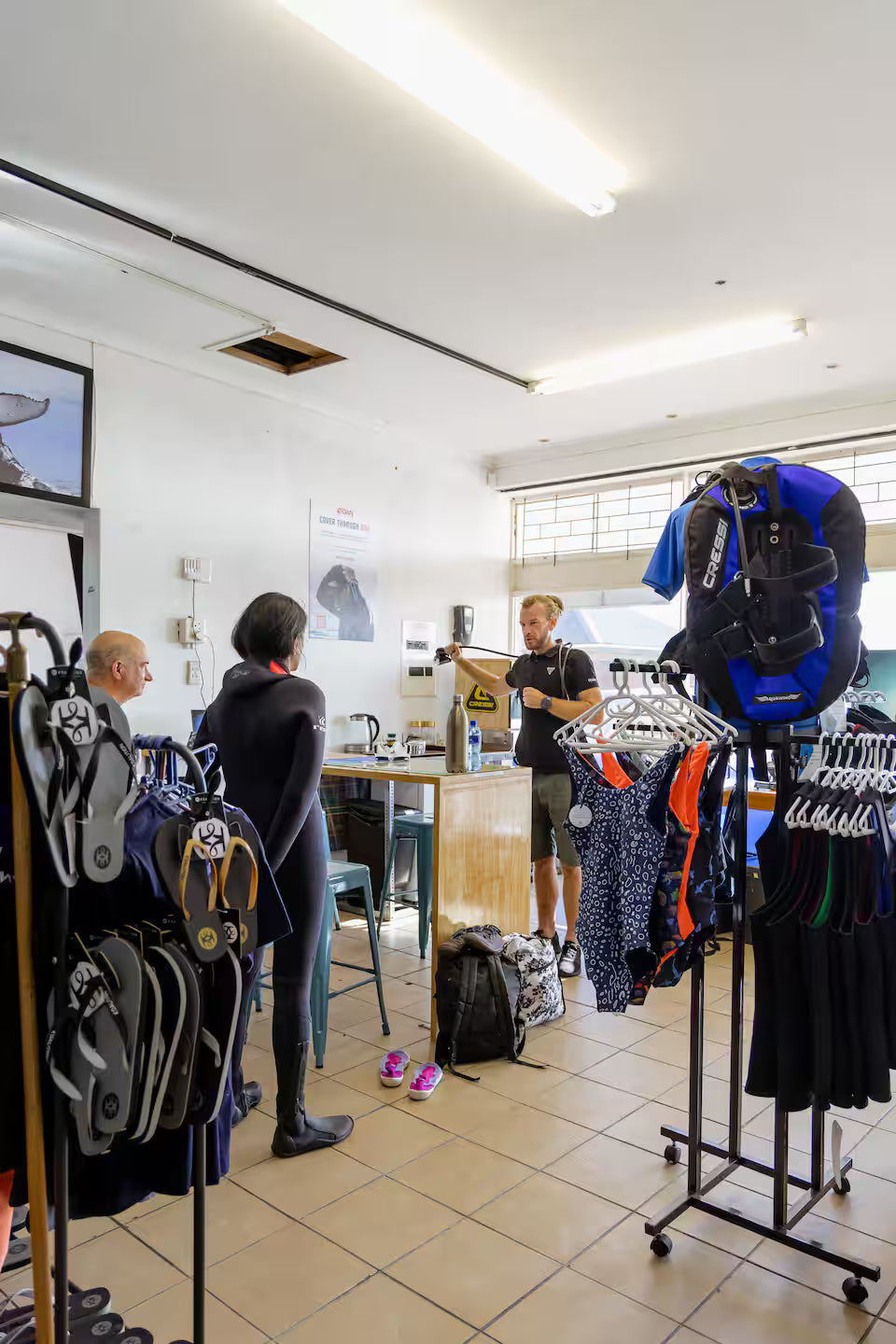 Scuba Diving in Simon’s Town-No Experience Needed