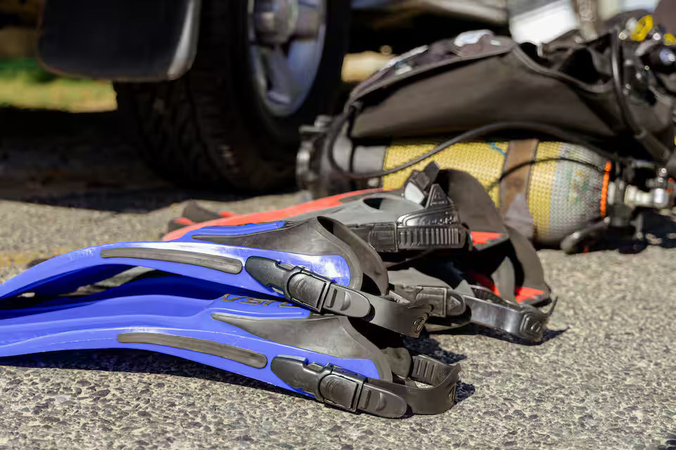 Scuba Diving in Simon’s Town-No Experience Needed