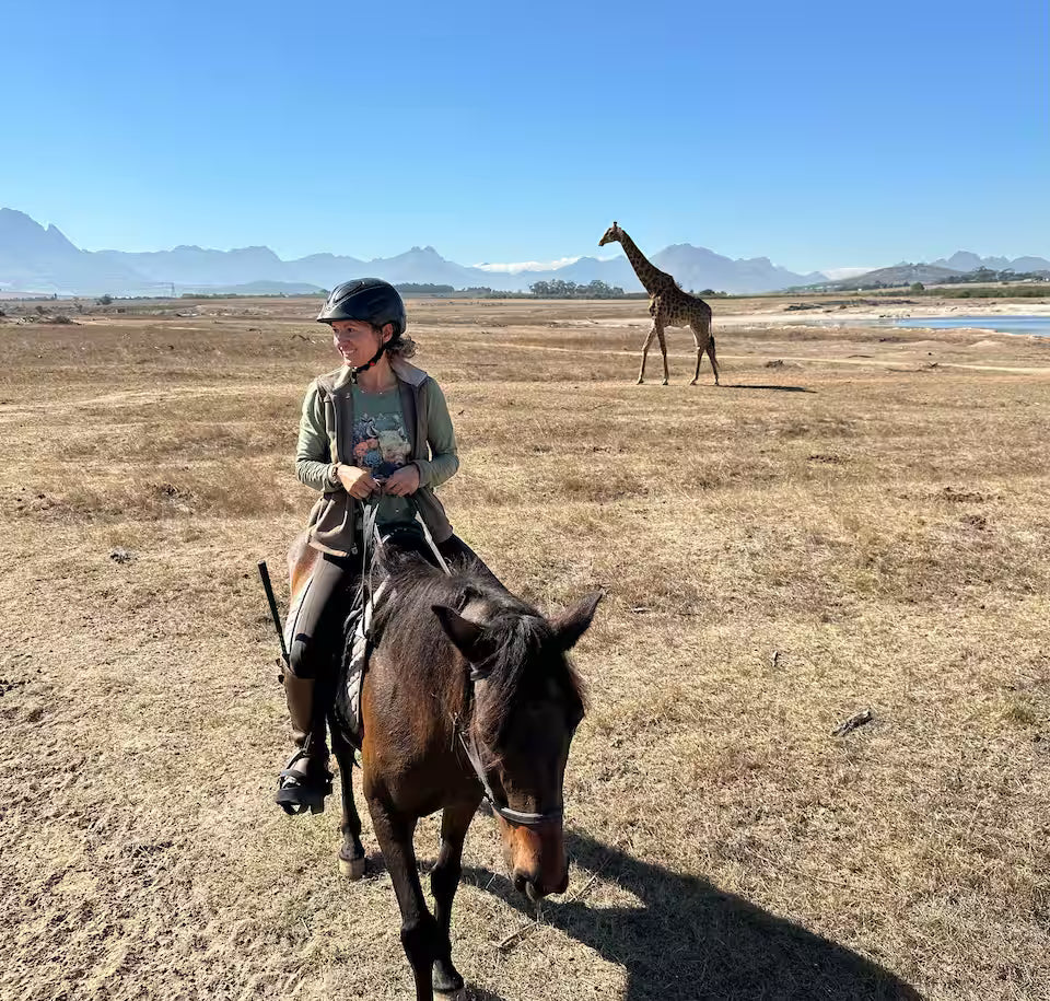 Explore a wildlife reserve on horseback - 2 hours