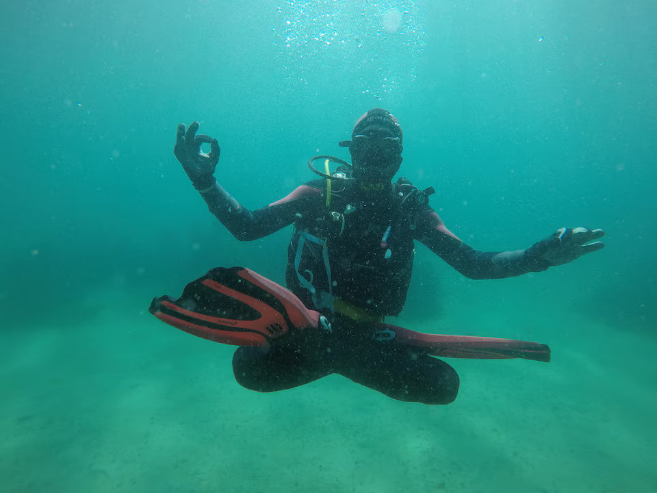 Scuba Diving in Simon’s Town-No Experience Needed