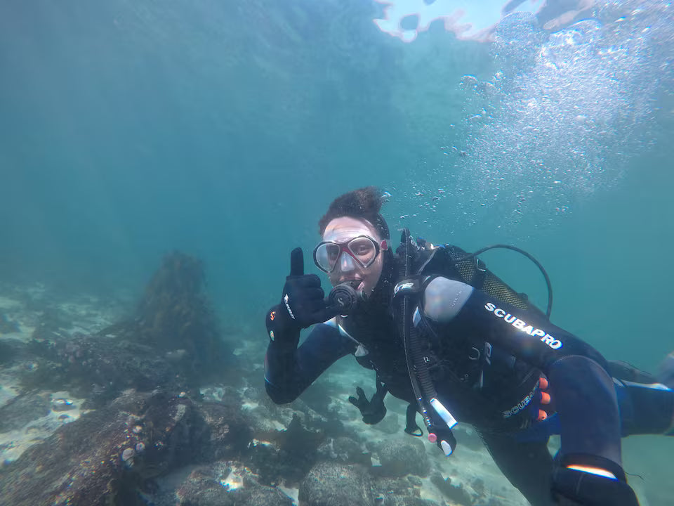 Scuba Diving in Simon’s Town-No Experience Needed