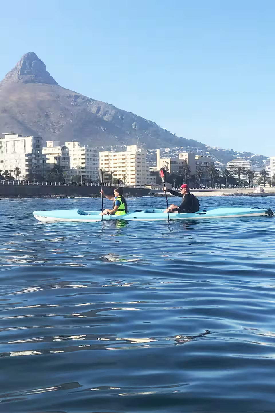 Kayak with dolphins in the heart of Cape Town