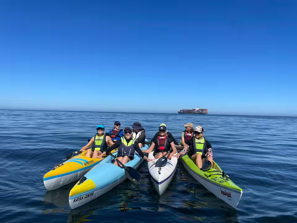 Kayak with dolphins in the heart of Cape Town