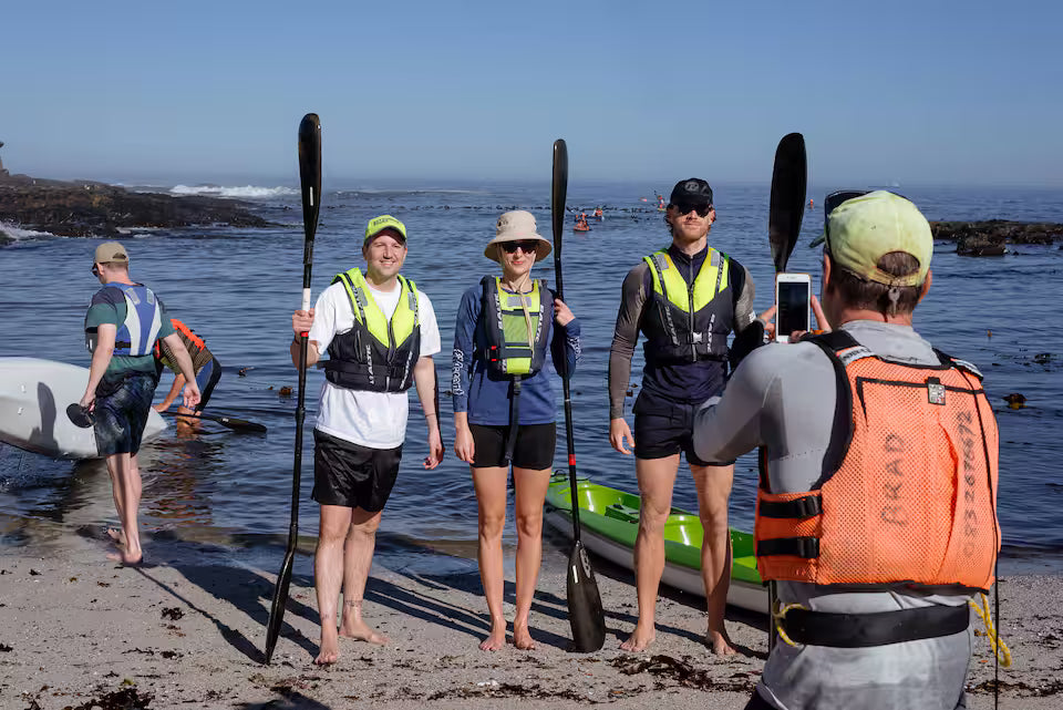 Kayak with dolphins in the heart of Cape Town