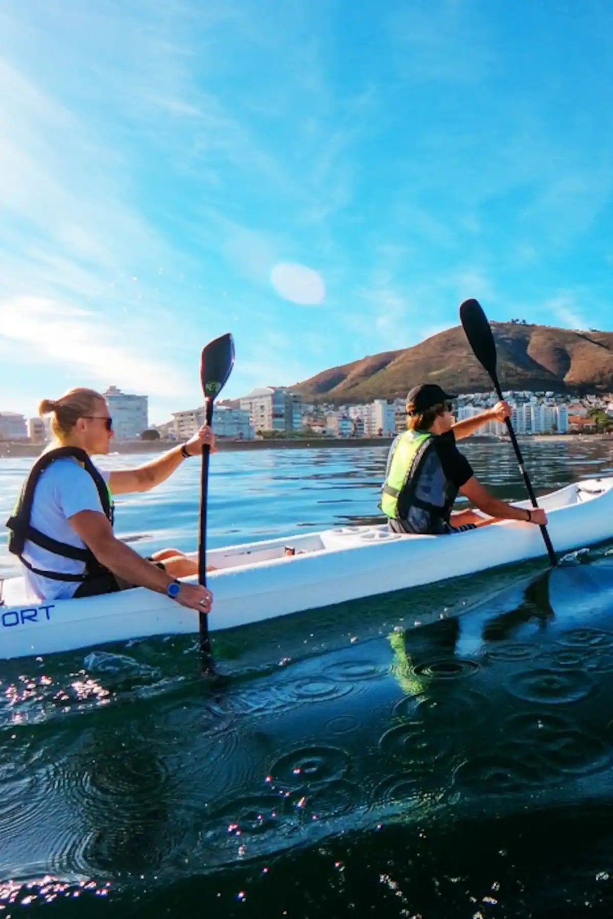 Kayak with dolphins in the heart of Cape Town