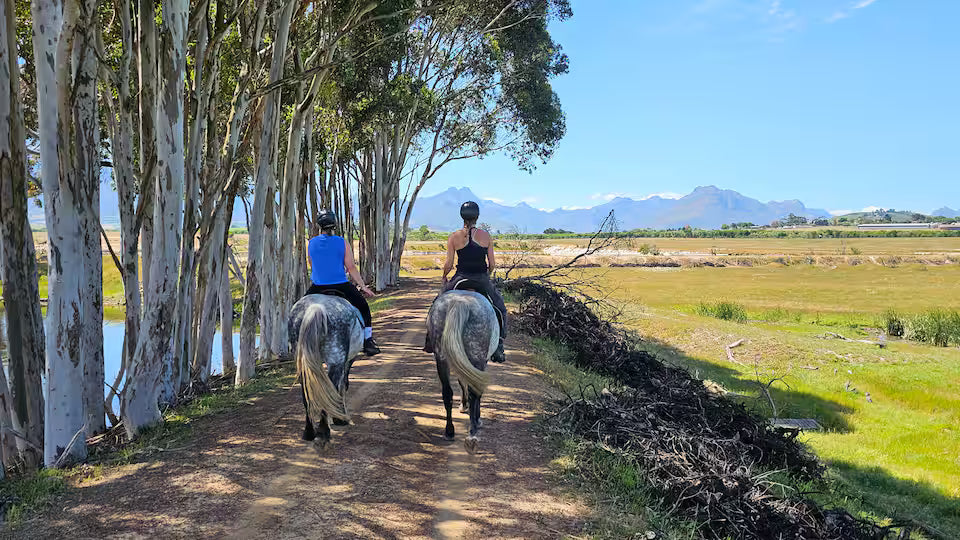 Explore a wildlife reserve on horseback - 2 hours