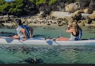Friend Therapy: The Winter Reset | Simon's Town