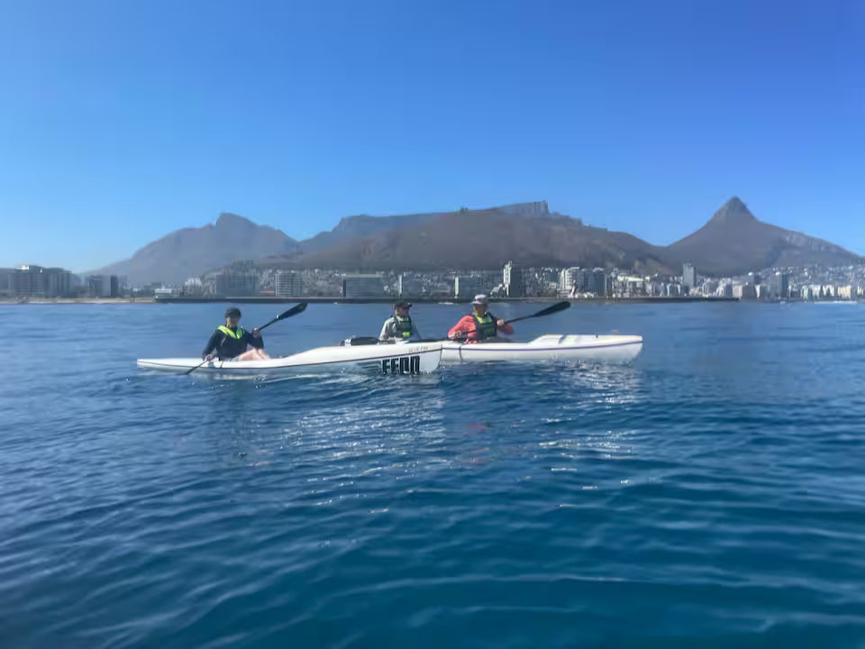 Kayak with dolphins in the heart of Cape Town