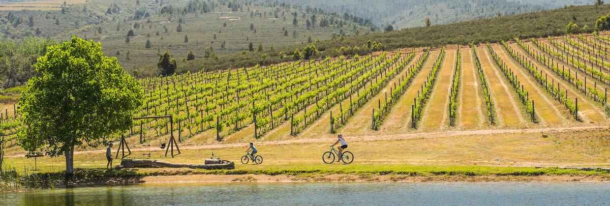 Fraaigelegen Farm Tulbagh