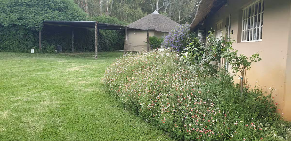 Saligna Dam View Guest House