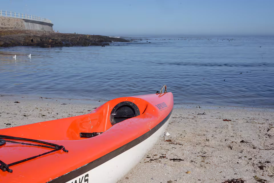 Kayak with dolphins in the heart of Cape Town