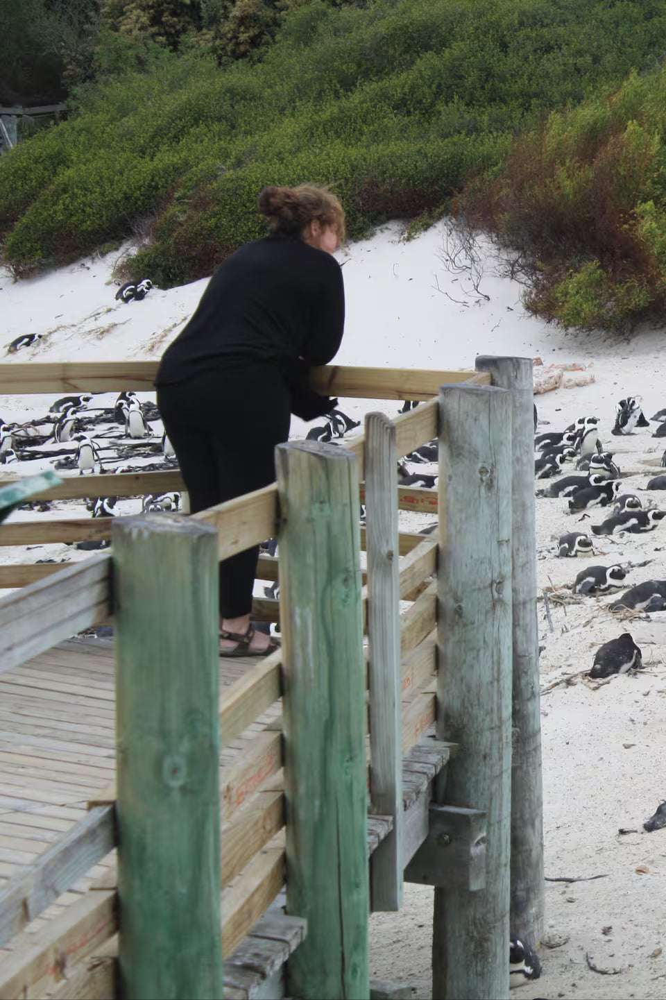 Cape of Good Hope, Cape Point and Penguins Tour