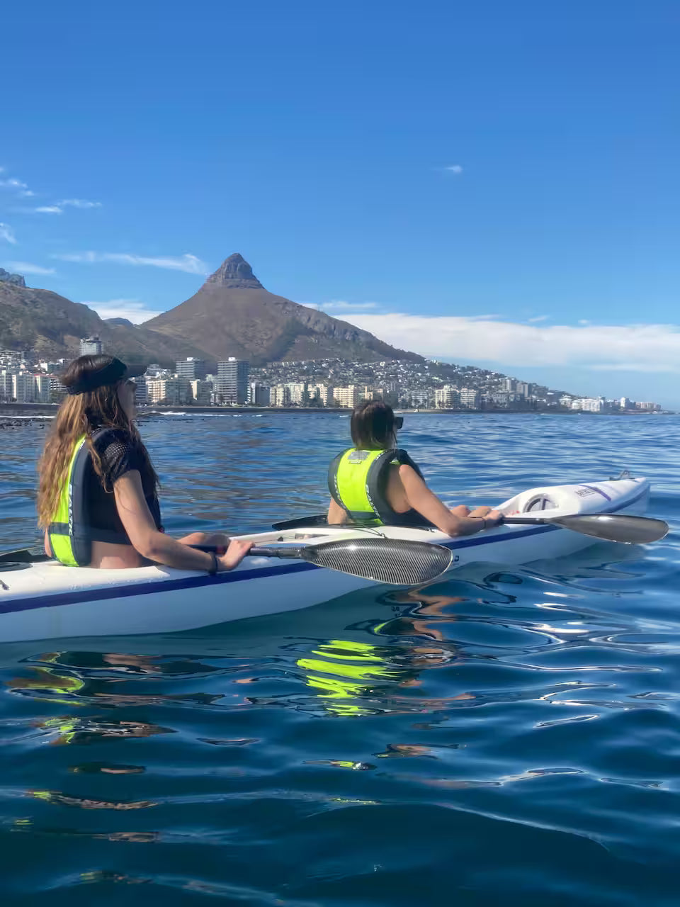 Kayak with dolphins in the heart of Cape Town