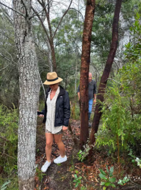 Join a guided walk through Wilderness Forest