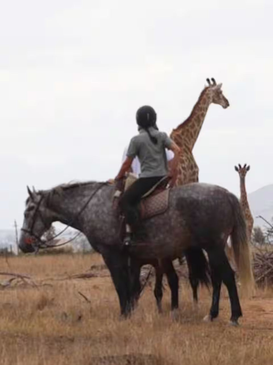 Explore a wildlife reserve on horseback - 2 hours