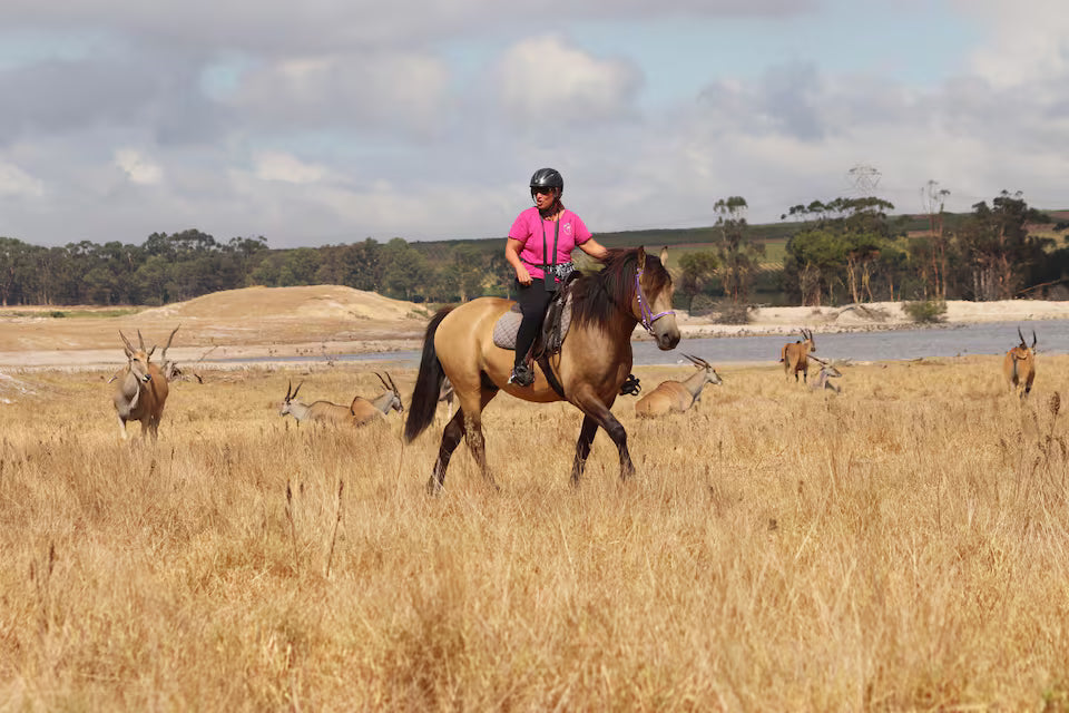 Explore a wildlife reserve on horseback - 2 hours