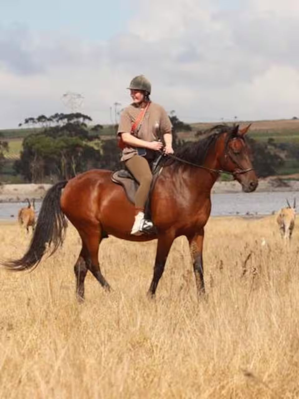 Explore a wildlife reserve on horseback - 2 hours