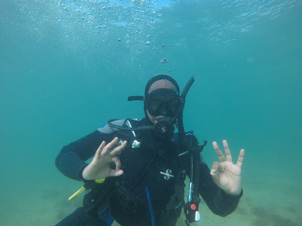 Scuba Diving in Simon’s Town-No Experience Needed