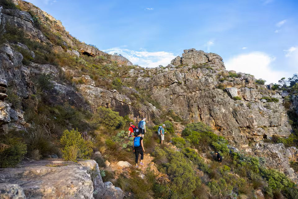 Hike Table Mountain and descend by cable car