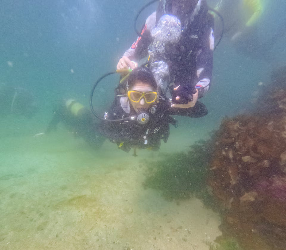 Scuba Diving in Simon’s Town-No Experience Needed
