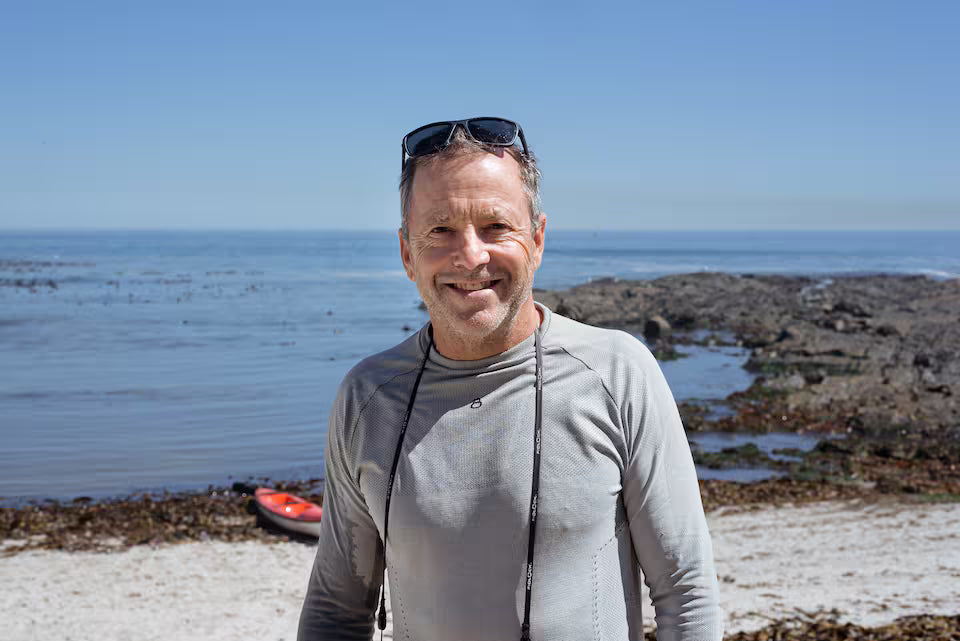 Kayak with dolphins in the heart of Cape Town