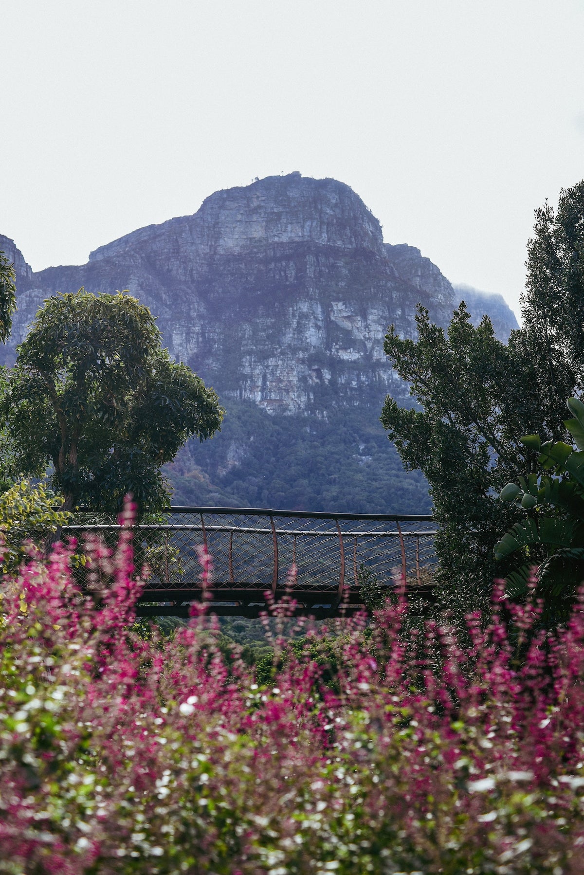 Friend Therapy: The Winter Reset | Simon's Town
