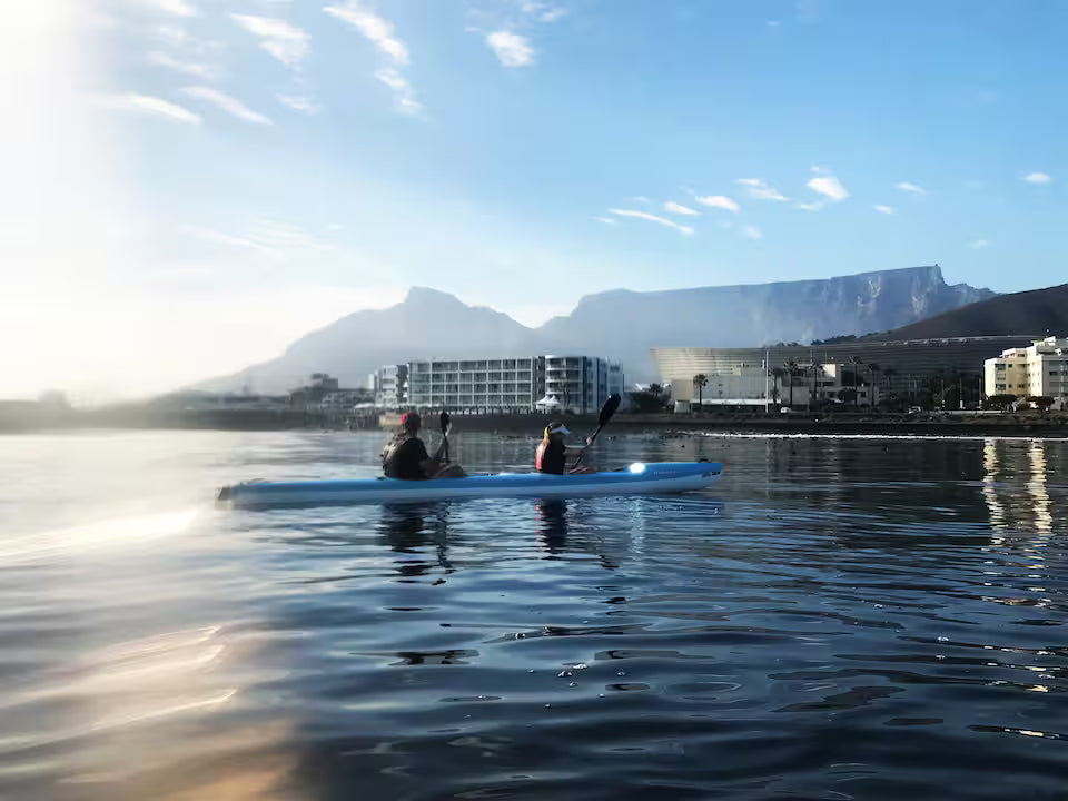 Kayak with dolphins in the heart of Cape Town