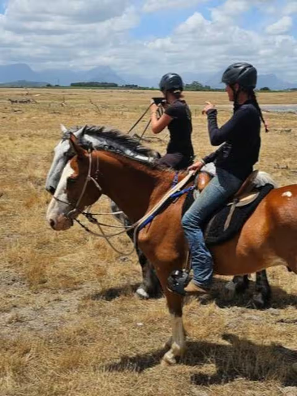 Explore a wildlife reserve on horseback - 2 hours