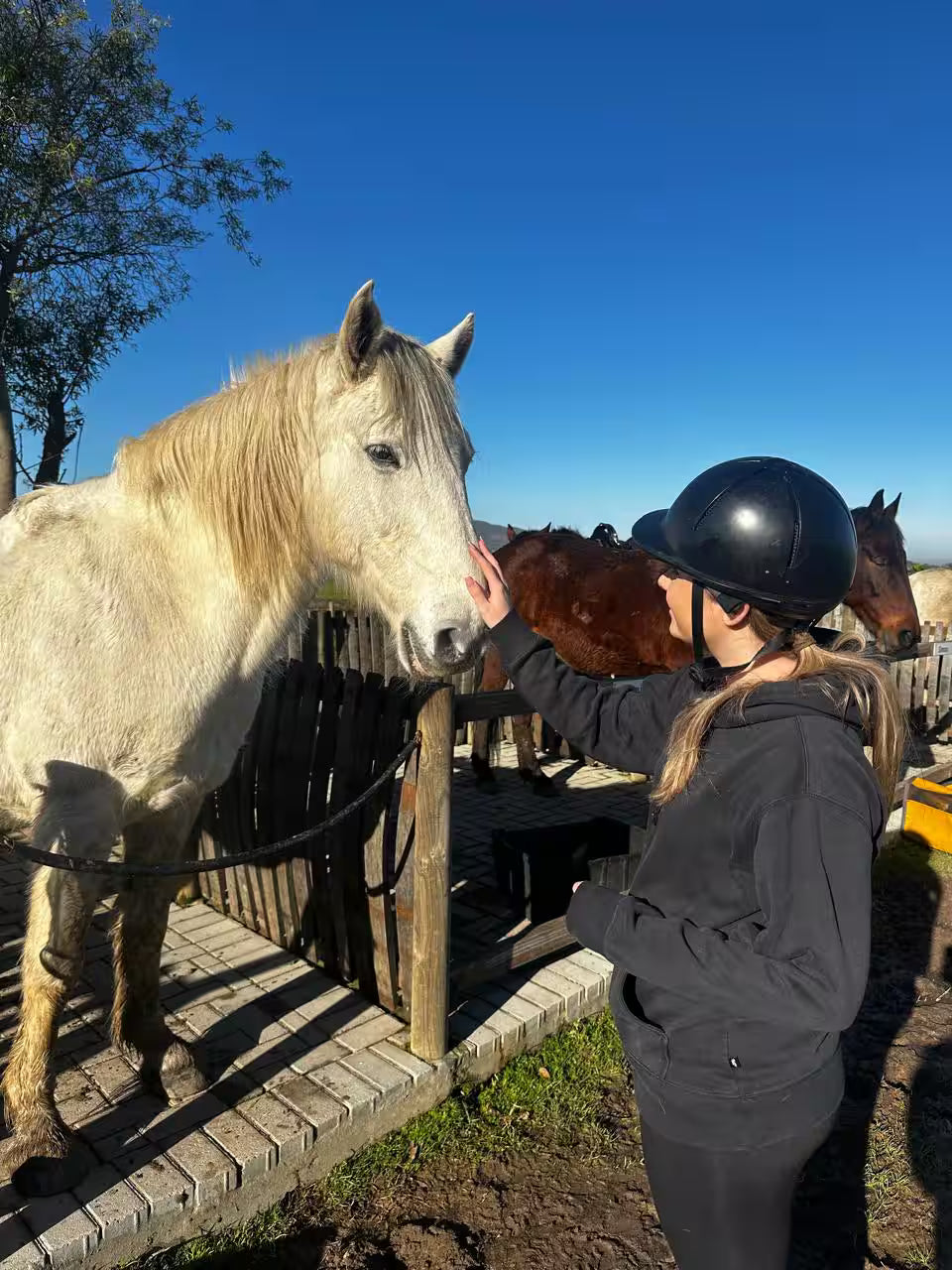 Explore a wildlife reserve on horseback - 2 hours