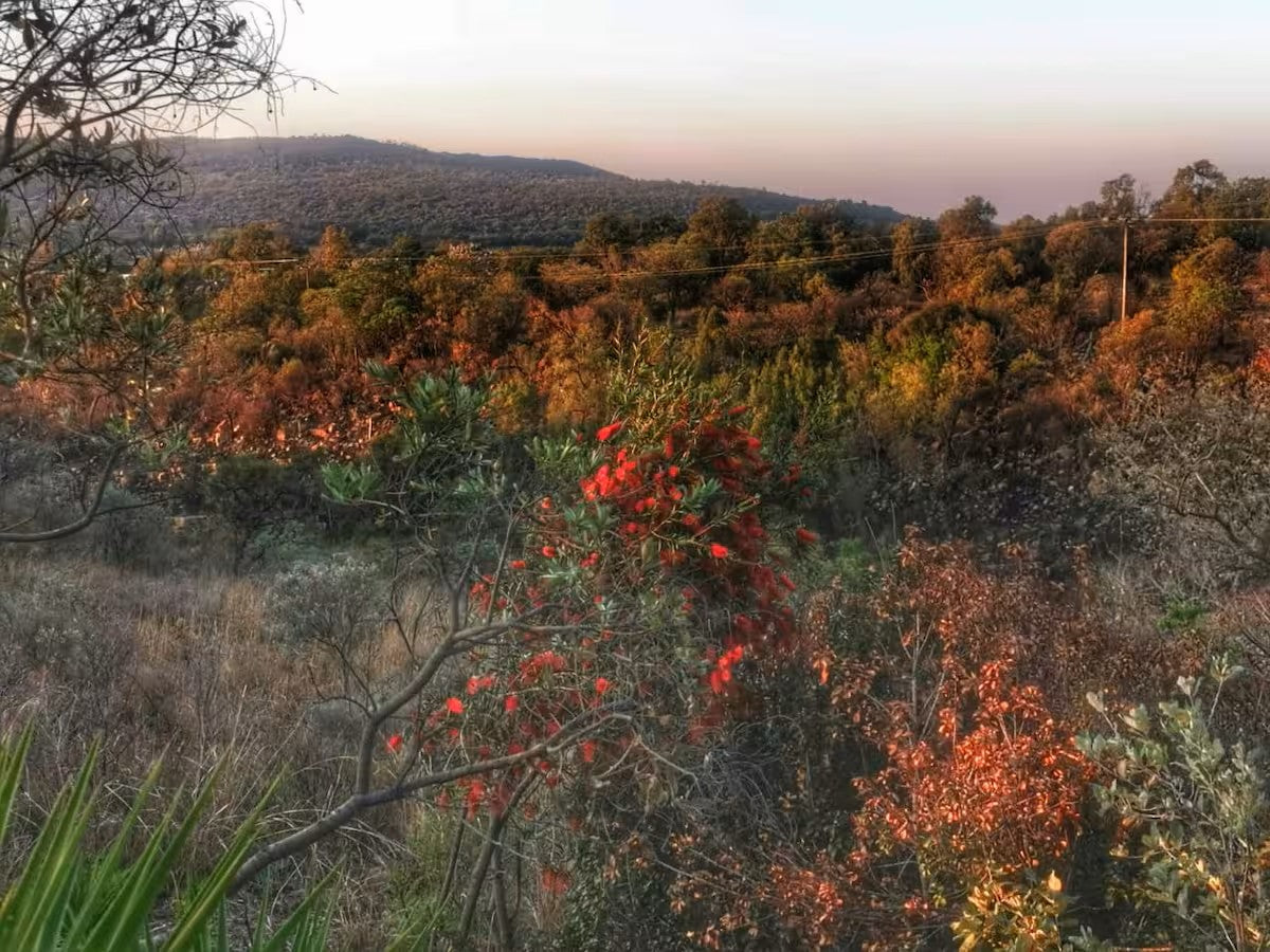 Rockridge – Riverview