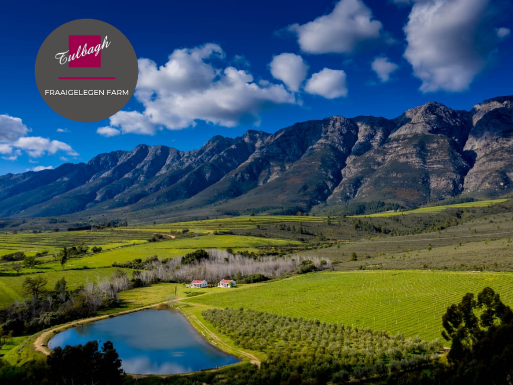 Fraaigelegen Farm Tulbagh SC Cottage - SHIRAZ