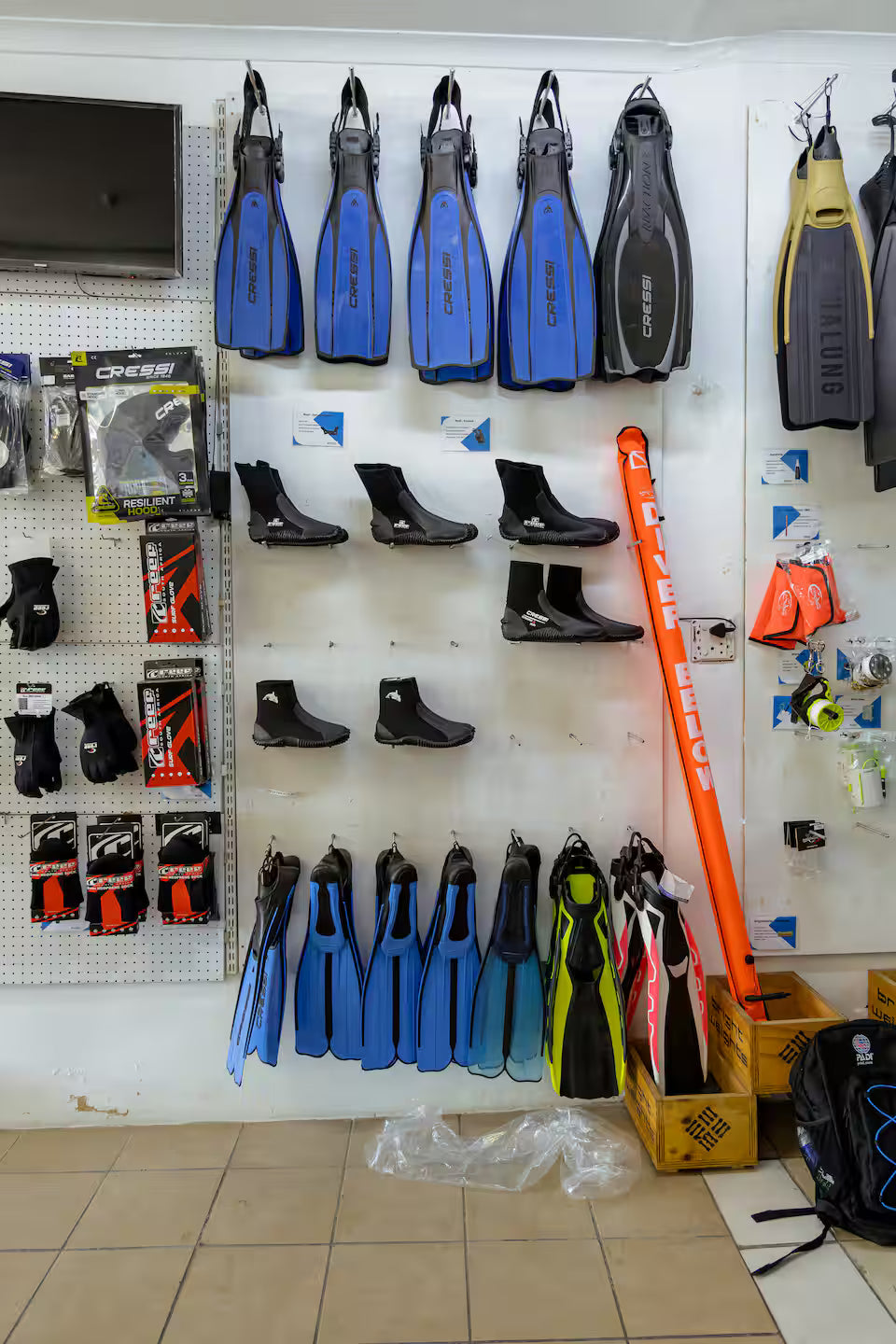 Scuba Diving in Simon’s Town-No Experience Needed