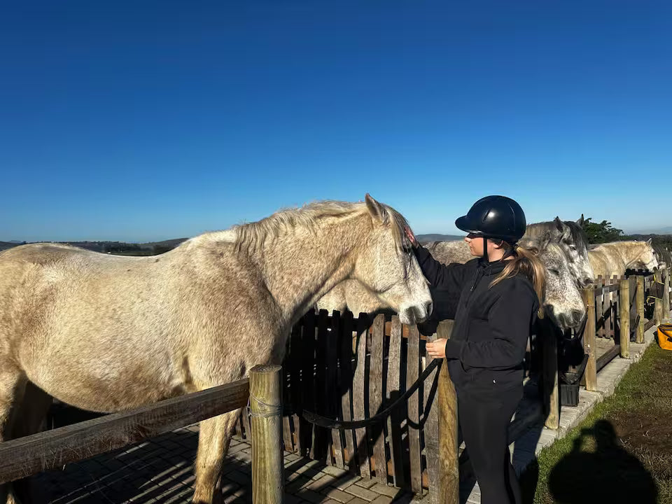 Explore a wildlife reserve on horseback - 2 hours