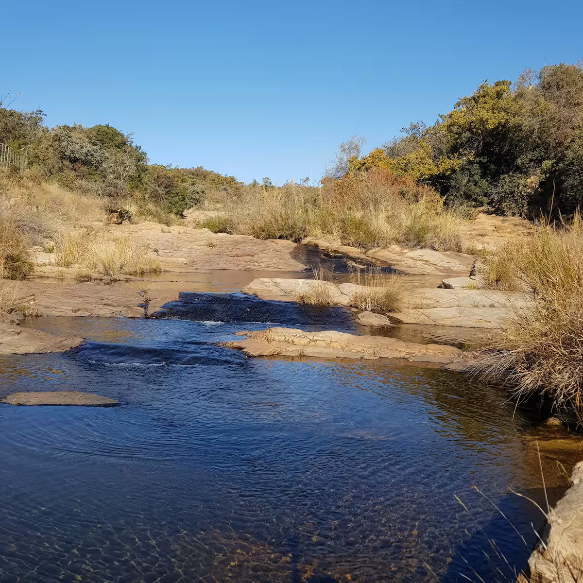 Rockridge – Riverview
