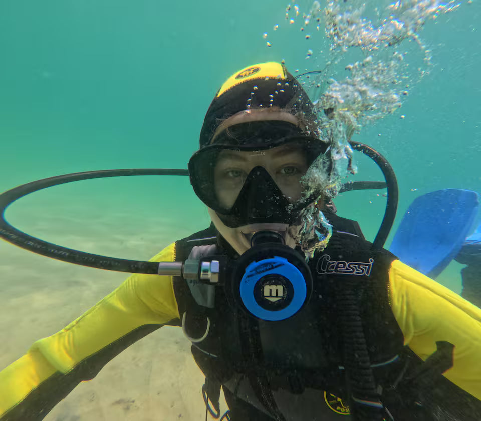 Scuba Diving in Simon’s Town-No Experience Needed