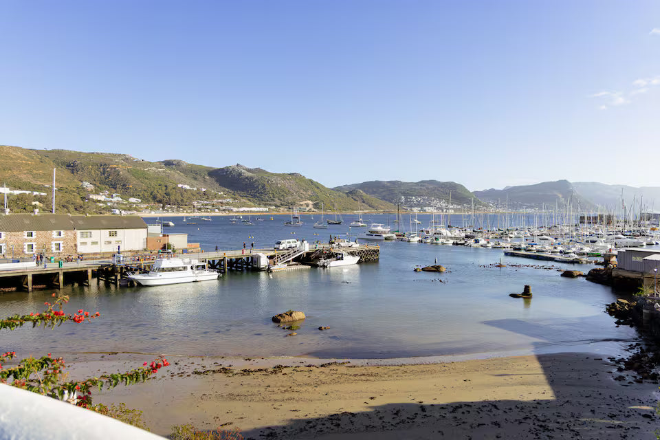 Scuba Diving in Simon’s Town-No Experience Needed