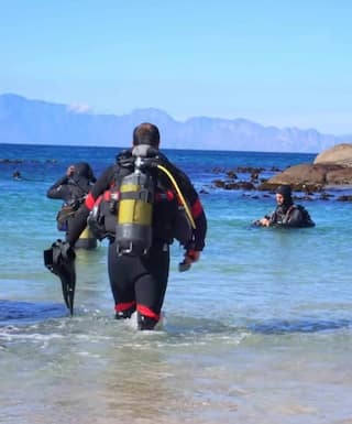 Friend Therapy: The Winter Reset | Simon's Town
