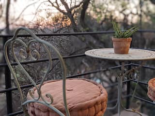 Rooted in Nature | Midrand Edition
