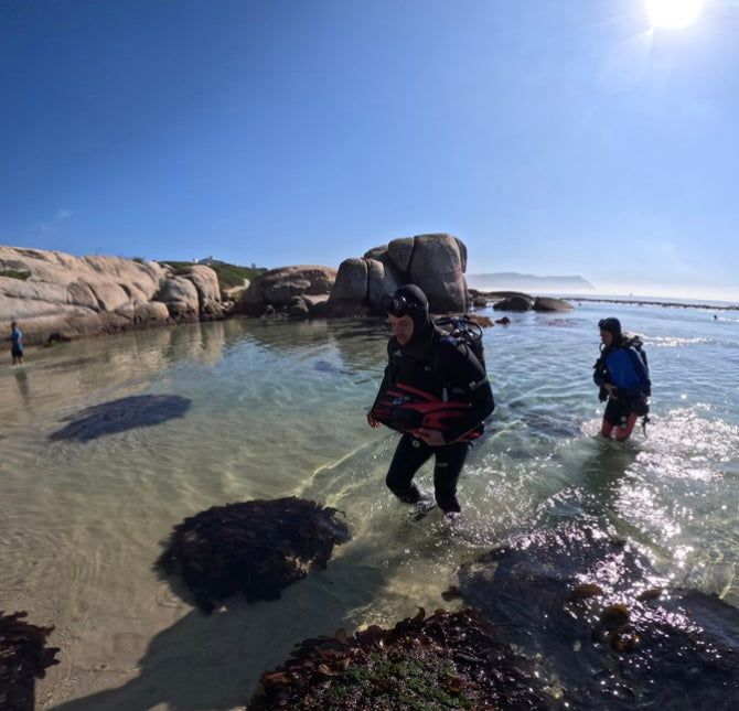Ocean Therapy | Muizenberg Ocean Emotional Reset & Adventure