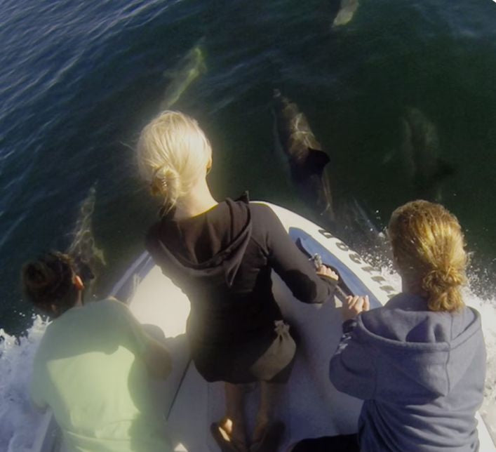 Ocean Therapy | City Energy & Ocean Calm | Greenpoint