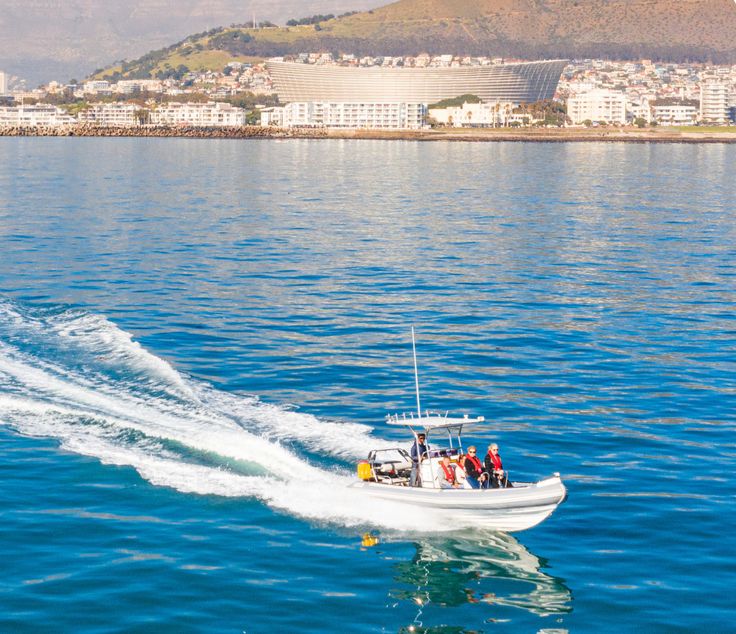Ocean Therapy | City Energy & Ocean Calm | Greenpoint