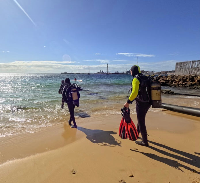 Ocean Therapy | Muizenberg Ocean Emotional Reset & Adventure