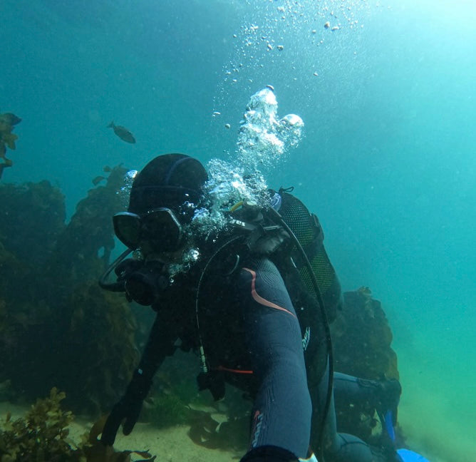 Ocean Therapy | Muizenberg Ocean Emotional Reset & Adventure