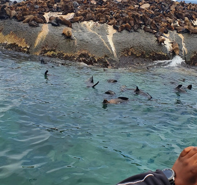 Ocean Therapy | Anchor your Heart- Ocean & Nature Stay | Three Anchor Bay