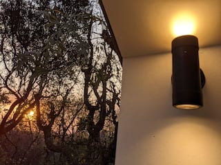Rooted in Nature | Midrand Edition