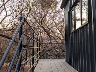 Rooted in Nature | Midrand Edition
